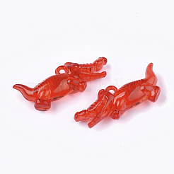 Transparent Acrylic Pendants&nbsp;TACR-S133-106