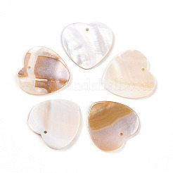 Freshwater Shell Pendants&nbsp;X-SHEL-S269-28