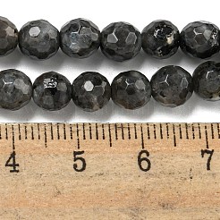 Natural Larvikite Beads Strands&nbsp;G-E571-A09-01