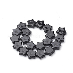Natural Black Stone Beads Strands&nbsp;G-Q974-09