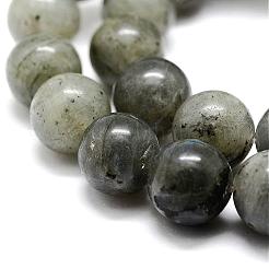 Natural Labradorite Bead Strands&nbsp;G-P256-01-8mm