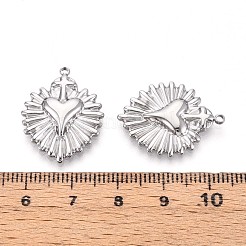 304 Stainless Steel Pendants&nbsp;STAS-N109-207P