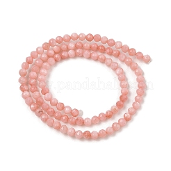 Natural Freshwater Shell Dyed Beads Strands&nbsp;SHEL-R100-12A-03