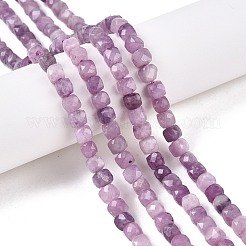 Natural Lepidolite/Purple Mica Stone Beads Strands&nbsp;G-N342-139