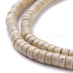 Natural Fossil Beads Strands&nbsp;G-H230-11