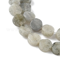 Natural Labradorite Beads Strands&nbsp;G-M454-B07
