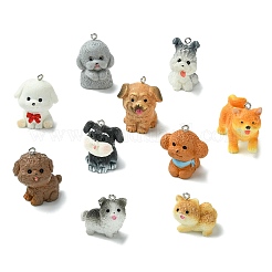 20Pcs 20 Styles Opaque Resin Pendants&nbsp;RESI-CJ0005-06