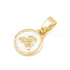 Brass Charms&nbsp;KK-E798-01A-G