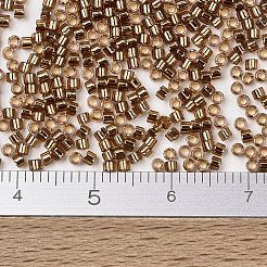 MIYUKI Delica Beads&nbsp;X-SEED-J020-DB2524