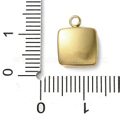 304 Stainless Steel Acrylic Pendants&nbsp;LS-STAS-M091-02D-G