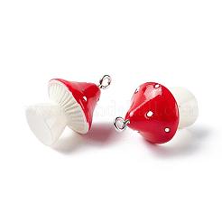 Opaque Resin Pendants&nbsp;X-RESI-T028-69D