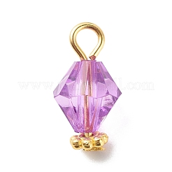 Transparent Acrylic Pendants&nbsp;PALLOY-JF01834-04