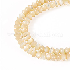 1 Strand Natural Trochus Shell Rondelle Beads Strands&nbsp;SSHEL-TA0001-16B