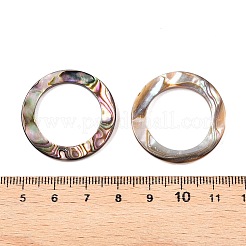 Natural Abalone Shell/Paua Shell Cabochons&nbsp;SHEL-T020-10B