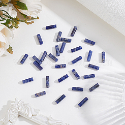 1 Strand Natural Sodalite Beads Strands&nbsp;G-PA0002-21