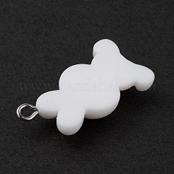 Opaque Resin Pendants&nbsp;RESI-D064-02P-04