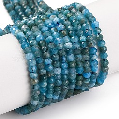 Natural Apatite Beads Strands&nbsp;X-G-F770-D09-02B