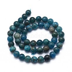 Natural Apatite Beads Strands&nbsp;X-G-F591-01