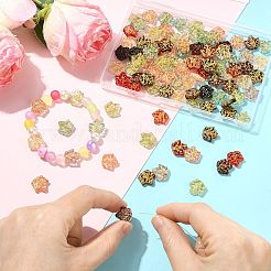 100Pcs Handmade Lampwork Beads&nbsp;LAMP-CJ0005-17