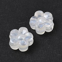Transparent Acrylic Beads&nbsp;TACR-F009-05