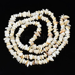 Natural Freshwater Shell Beads Strands&nbsp;SHEL-S278-070G