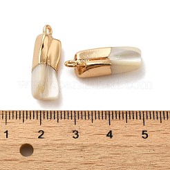 Natural Trochus Shell Pendants&nbsp;SSHEL-H071-04KCG
