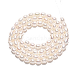 Natural Cultured Freshwater Pearl Beads Strands&nbsp;PEAR-N024-04-4AB