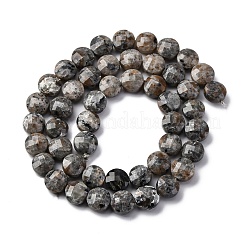 Natural Fluorescent Syenite Rock(Glow under UV Light) Beads Strands&nbsp;G-C179-A39-03