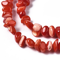Natural Trochid Shell/Trochus Shell Bead Strands&nbsp;SSHEL-N034-78-C04