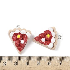 Opaque Resin Pendants&nbsp;FIND-Z092-01P-01