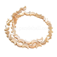 Natural Trochid Shell/Trochus Shell Beads Strands&nbsp;SH-CBA93AD-01