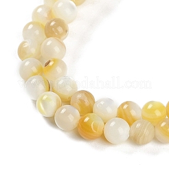 Natural Trochus Shell Beads Strands&nbsp;BSHE-H109-12B