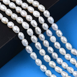 Natural Cultured Freshwater Pearl Beads Strands&nbsp;LS-PEAR-N012-04C
