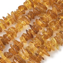 Natural Amber Beads Strands&nbsp;G-L095-D01-06