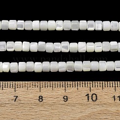 Natural Trochid Shell/Trochus Shell Beads Strands&nbsp;SH-CBA2978-18A