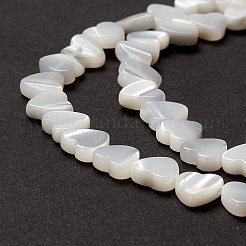 Natural Trochid Shell/Trochus Shell Beads&nbsp;SSHEL-O001-27A