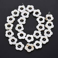 Freshwater Shell Beads Frames Strands&nbsp;X-SHEL-T009-14A