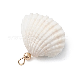 Clam Shell & Glass Seed Beaded Pendants&nbsp;PALLOY-MZ00526-04