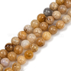 Natural Agate Beads Strands&nbsp;G-U026-A07-6mm