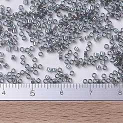 MIYUKI Delica Beads&nbsp;SEED-JP0008-DB0179