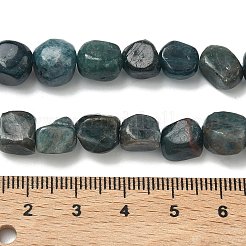 Natural Apatite Beads Strands&nbsp;G-R445-8x10-24A