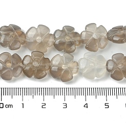 Natural Grey Agate Bead Strands&nbsp;G-H023-B20-01