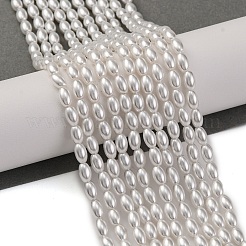 Baking Paint Pearlized Glass Pearl Bead Strands&nbsp;PEAR-H019-01C-02