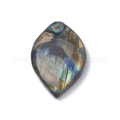 Natural Labradorite Pendants&nbsp;G-S299-21
