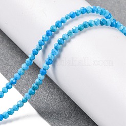 Natural Howlite Beads Strands&nbsp;G-C025-02A-05