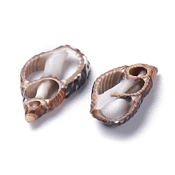 Natural Spiral Shell Beads&nbsp;BSHE-I016-05