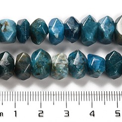Natural Apatite Beads Strands&nbsp;G-N327-05-06
