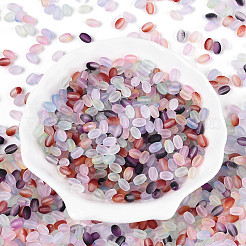 Frosted Glass Seed Beads&nbsp;SEED-N008-05