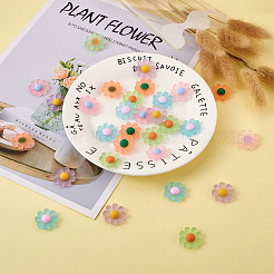Resin Frosted Cabochons&nbsp;RESI-TA0001-26