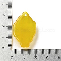 Dyed Natural Agate Carved Pendants&nbsp;G-A098-01E